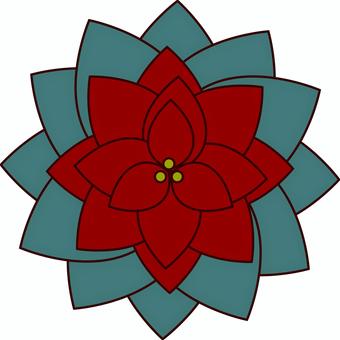 上から見たポインセチア ポインセチア,植物,葉,クリスマス,真俯瞰のイラスト素材