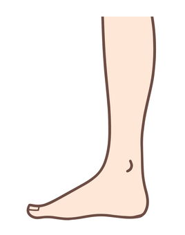 Illustration, leg, ankle, slim, 