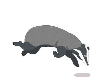 ヨーロッパアナグマ（走る・主線なし） ヨーロッパアナグマ,アナグマ,ヨーロッパ,動物,走る,主線なしのイラスト素材