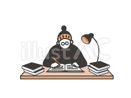 勉強をする女性