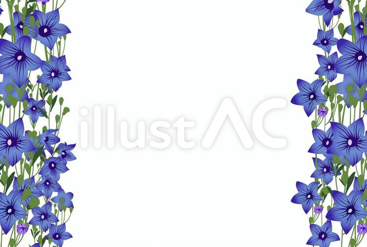 桔梗1 秋,背景,秋の花のイラスト素材