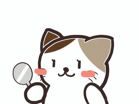 鏡を見る猫美 鏡を見る猫美 ねこ,動物,生き物のイラスト素材