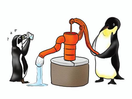 Illustration, animal, penguin, pingouin de pénétration, 
