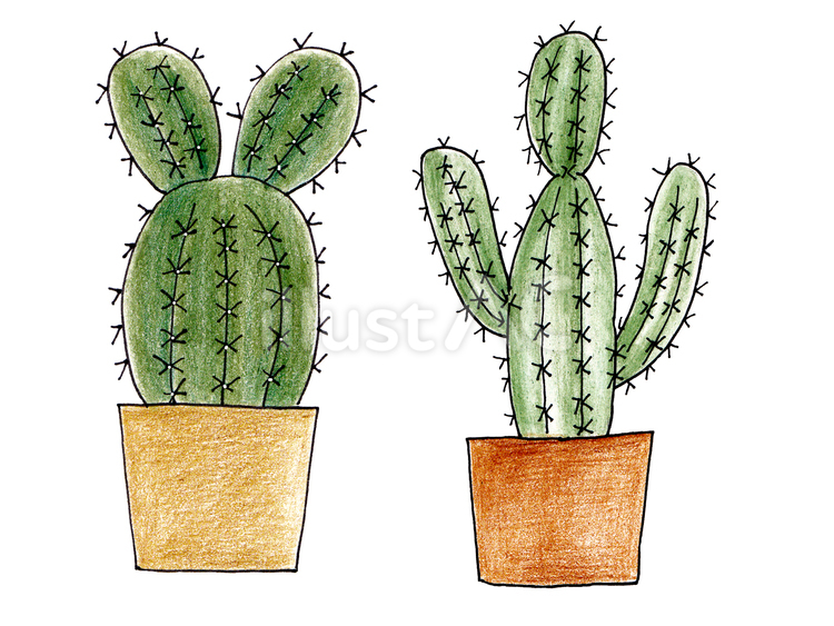 鉢植えサボテンの手描きイラスト サボテン,鉢植え,植物のイラスト素材