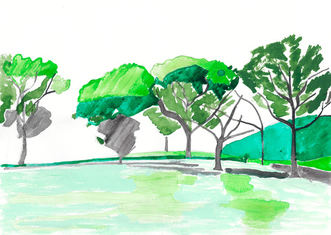 冬の木々 晩秋,公園,爽やか,グリーン,季節の変わり目のイラスト素材