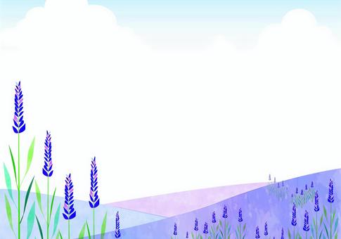 Lavender prairie, الخزامي, إطار, مشهد, JPG