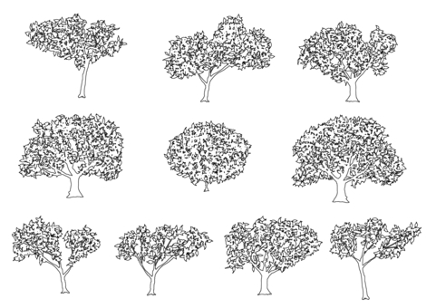 Illustration, monochrome, trees, natural, 