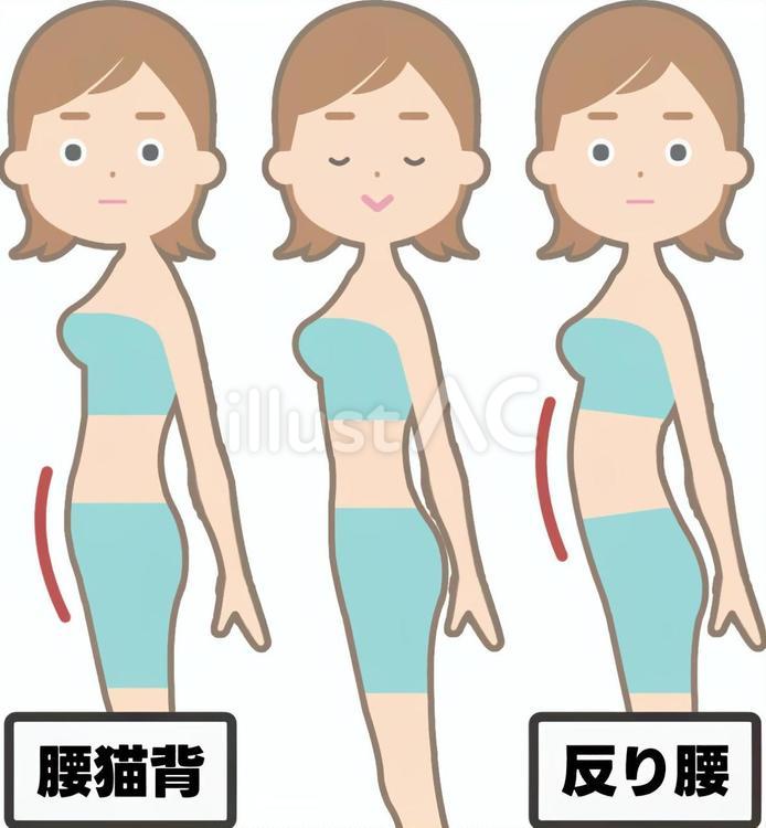 腰猫背と反り腰と通常の姿勢 姿勢,横向き,腰のイラスト素材