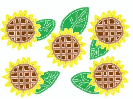 Illustration, sunflower, lapangan sunflower, plant, 