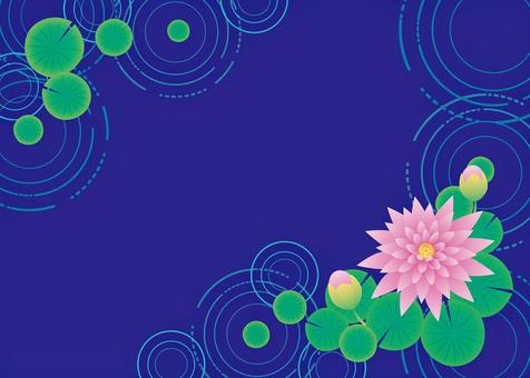 Water lily wallpaper / background, JPG, PNG and AI Water lily wallpaper / background, water lily, flower, bloom, JPG, PNG and AI
