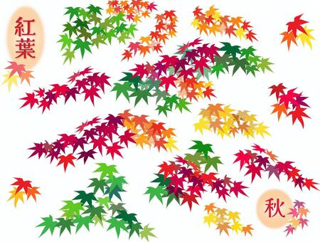 紅葉素材 もみじ,紅葉,秋,色とりどり,カラフル,素材,セット,植物,葉っぱのイラスト素材