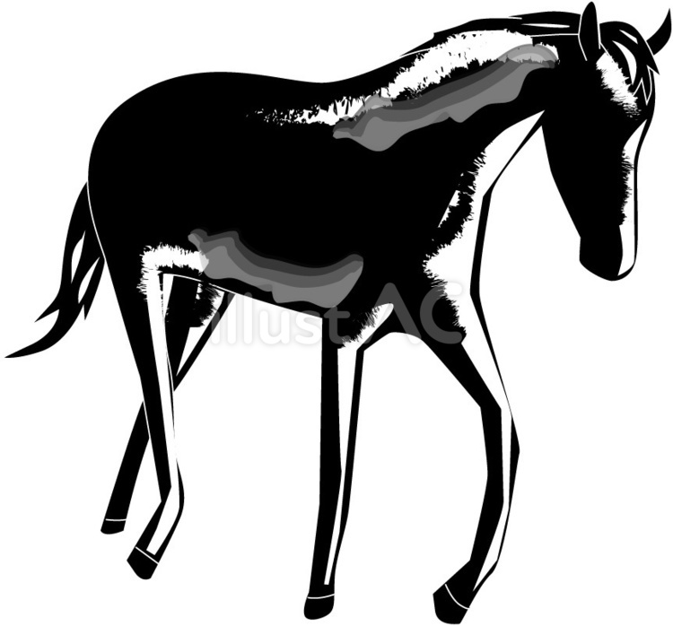 馬　 馬,野生,歩くのイラスト素材