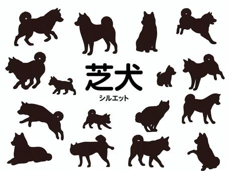 Illustration, lawn dog, dog, animal, 