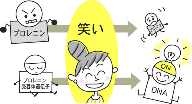笑いの効用 笑い,笑顔,効用,プロレニン,受容体遺伝子,スイッチオン,免疫力,アップ,dna,人物のイラスト素材