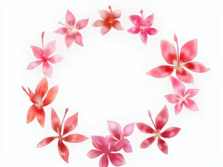 Red leaf Kwai, JPG and PNG Red leaf Kwai, , JPG and PNG