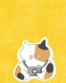 写真を撮る三毛猫ちゃん♪ かわいい,写真,カメラ,撮る,撮影,趣味,ねこ,三毛猫,動物,いきもののイラスト素材
