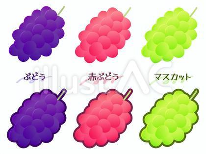 ぶどう イラスト セット
