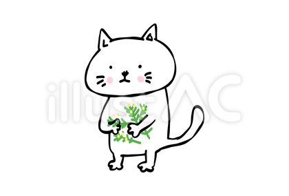 ミモザと猫