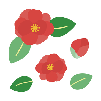 秋から冬にかけて咲く花（サザンカ）