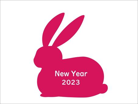 Illustration, rabbit, newyear, new year's card, 