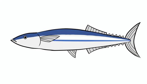 秋刀魚のイラスト 秋刀魚,サンマ,青魚,秋,魚,秋の味覚,焼き魚,アイコンのイラスト素材