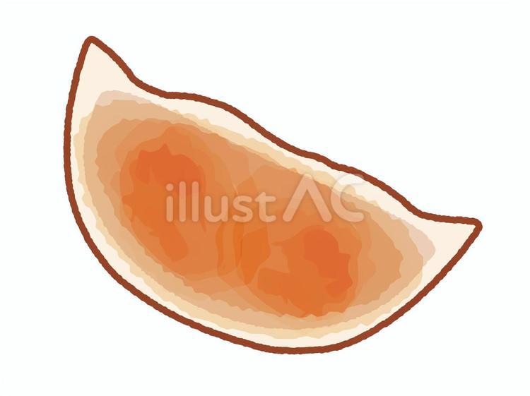 おいしそうな焼き目のついた餃子のイラスト 餃子,中華,食べ物のイラスト素材
