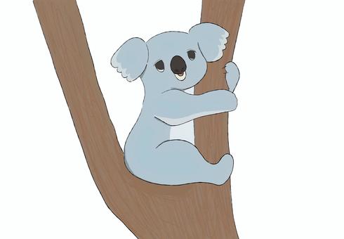 眠そうなコアラ コアラ,手描き,かわいい,シンプル,眠い,動物のイラスト素材