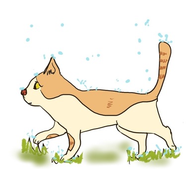 Illustration, rain, cat, rainy season, 