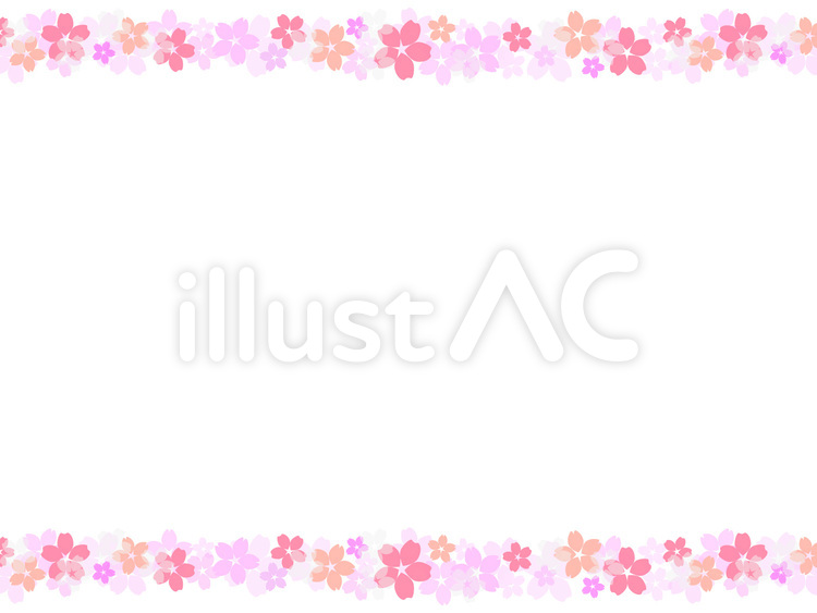 桜罫 春色,桜の花,罫のイラスト素材