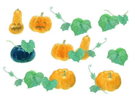 水彩のリアルでシンプルなカボチャセット かぼちゃ,カボチャ,野菜,秋,食べ物,水彩,水彩絵の具,手描き,手書き,白背景のイラスト素材