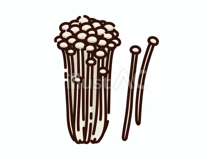 エノキタケ えのき,榎,エノキタケのイラスト素材