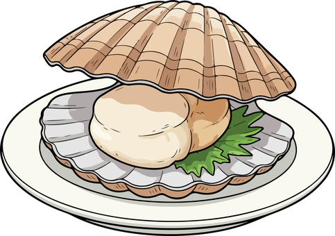 ホタテ貝 ホタテ,帆立,ほたて,貝,貝類,寿司,鮨,居酒屋,刺身,新鮮のイラスト素材