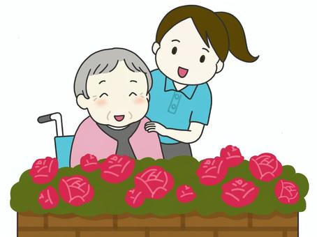 花壇の花を見る車いすの老人と介護者 花,花壇,植物,華やか,赤,車いす,老人,高齢者,高齢女性,介護のイラスト素材