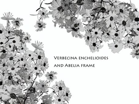 ヴェルベシナとアベリアのモノトーン