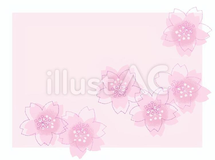 桜 春,花,ピンク色のイラスト素材