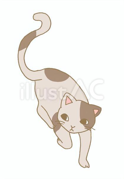 ねこ