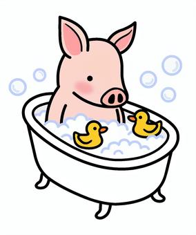 Illustration, piglet, bathtub, bath, 