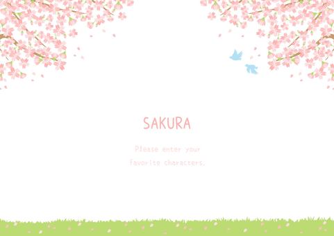 綺麗な桜の風景イラスト 桜,春,植物,背景,花,自然,ナチュラル,ほのぼの,ほんわか,かわいいのイラスト素材