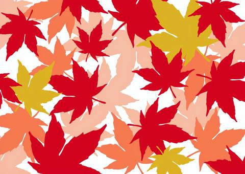 散らばるカエデの葉 カエデ,紅葉,赤,葉,秋,シンプル,透過,ベクター,epsのイラスト素材