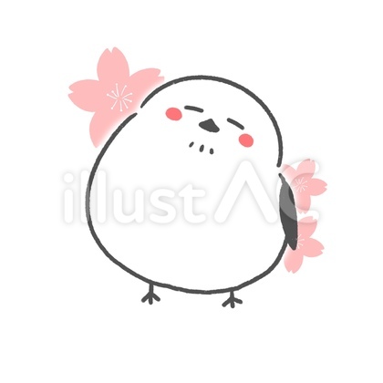 シマエナガと桜