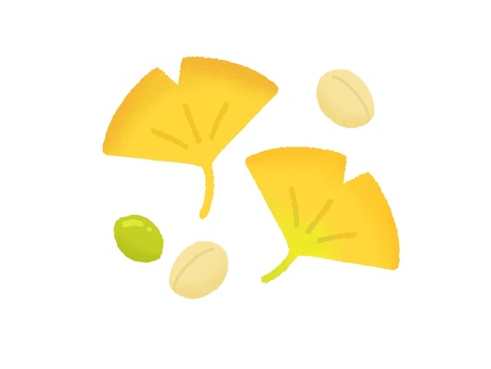 イチョウと銀杏の実 銀杏,実,イチョウ,秋,紅葉,落ち葉,葉,枯葉,樹木,落葉樹のイラスト素材