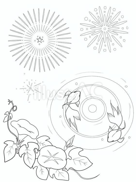 ぬり絵　花火と朝顔と金魚 ぬり絵,花火,朝顔のイラスト素材