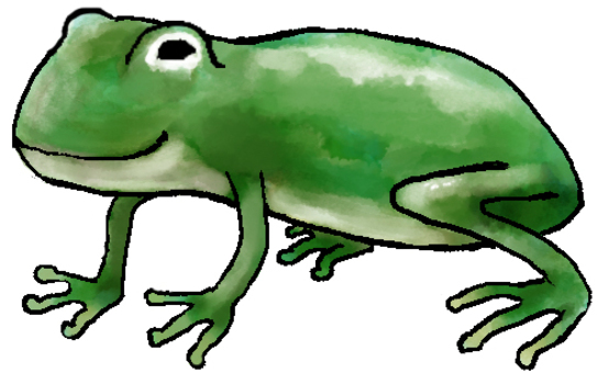 Frog Material, icon, illustration, illustration, JPG and PNG