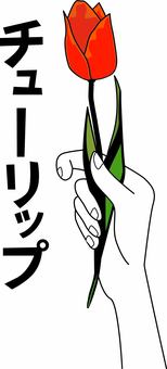 チューリップ　 チューリップ,花,赤,持つ,手,抽象的,かわいい,カタカナ,線画のイラスト素材