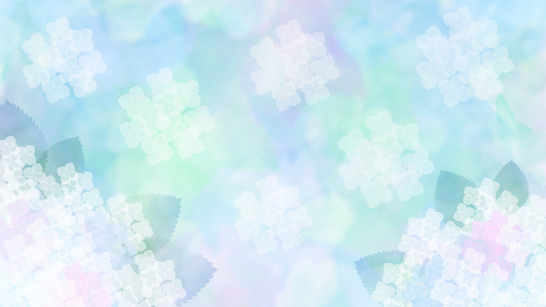 あじさい 紫陽花,アジサイ,紫,雨,花,春,梅雨,あじさい,雨上がり,6月のイラスト素材