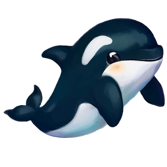 Illustration, sea, creatures, killer whale, 