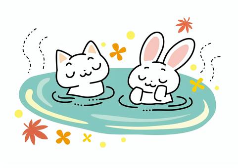 うさぎさんとねこさんの温泉 ウサギ,ネコ,温泉,露天風呂,お風呂,入浴剤,入浴,秋,かわいい,ベクターのイラスト素材
