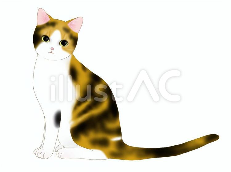 うちの猫 猫,子猫,かわいいのイラスト素材