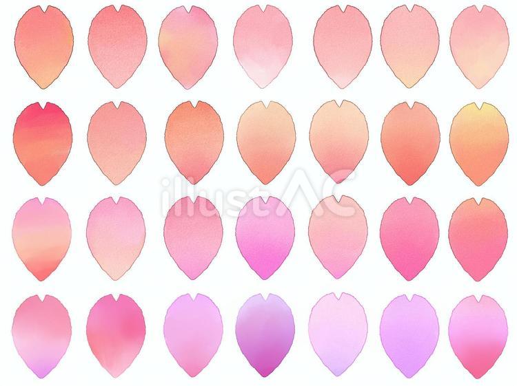 桜の花びら１（基本） ピンク,春,和風のイラスト素材