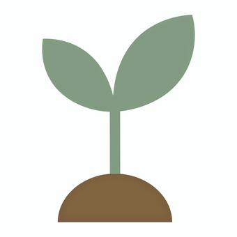 土から伸びる新芽のアイコン 新芽,発芽,植物,双葉,土,成長,栽培,園芸,農業,種まきのイラスト素材